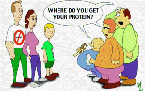 Veg-Protein